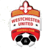 达拉斯FC